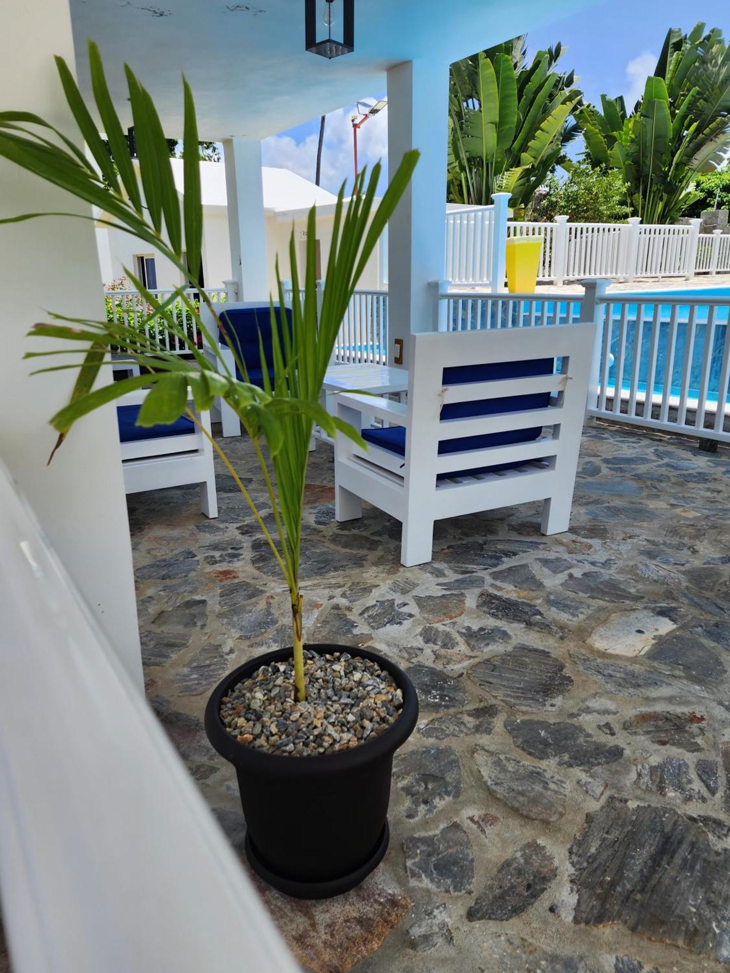 Bella Villa Room With Large Pool And Close To Beach Las Galeras Εξωτερικό φωτογραφία